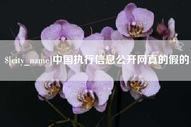 陆丰中国执行信息公开网真的假的