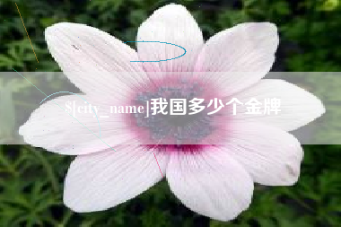 陆丰我国多少个金牌