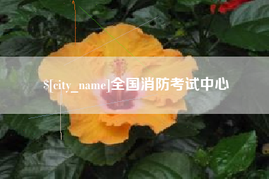 陆丰全国消防考试中心