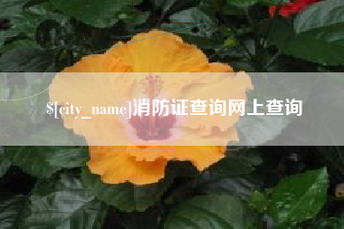 陆丰消防证查询网上查询