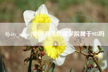 陆丰中国消防救援学院属于985吗