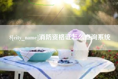 陆丰消防资格证怎么查询系统