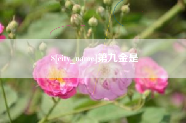 陆丰第九金是