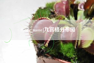 陆丰九宫格分布图