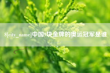 陆丰中国9块金牌的奥运冠军是谁