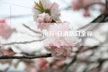 陆丰11月9日消防日全称