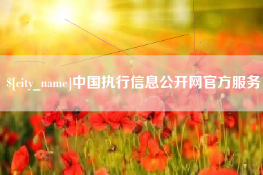陆丰中国执行信息公开网官方服务