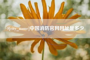 陆丰中国消防官网网址是多少
