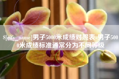 陆丰男子5000米成绩对照表-男子5000米成绩标准通常分为不同等级