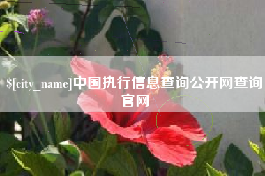 陆丰中国执行信息查询公开网查询官网