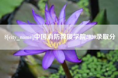 陆丰中国消防救援学院2020录取分
