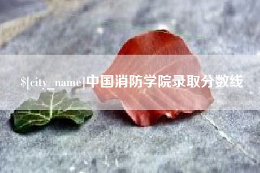 陆丰中国消防学院录取分数线