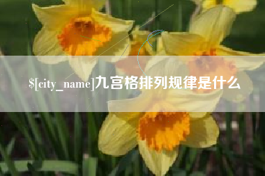 陆丰九宫格排列规律是什么