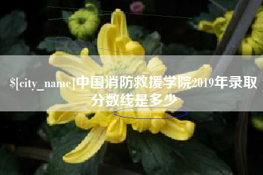 陆丰中国消防救援学院2019年录取分数线是多少