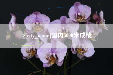 陆丰国内5000米成绩