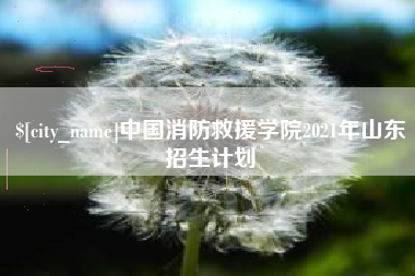 陆丰中国消防救援学院2021年山东招生计划