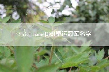 陆丰2024奥运冠军名字