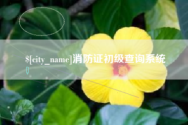 陆丰消防证初级查询系统