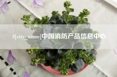 陆丰中国消防产品信息中心