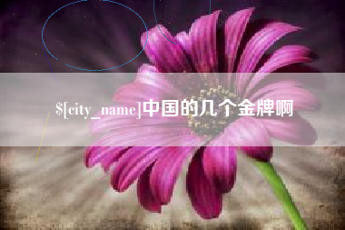 陆丰中国的几个金牌啊