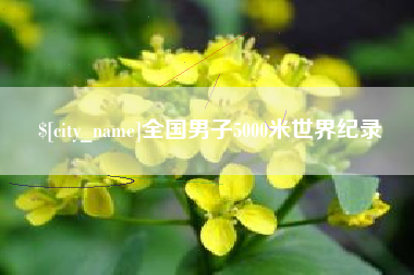陆丰全国男子5000米世界纪录
