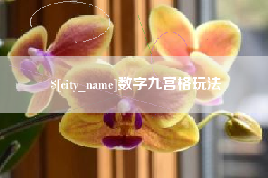 陆丰数字九宫格玩法