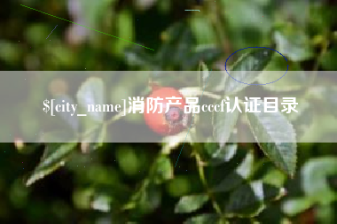 陆丰消防产品cccf认证目录
