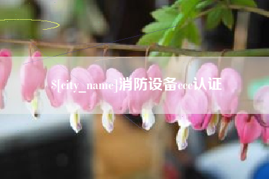 陆丰消防设备ccc认证