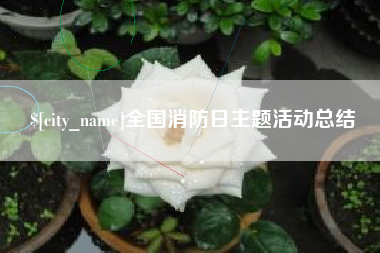 陆丰全国消防日主题活动总结