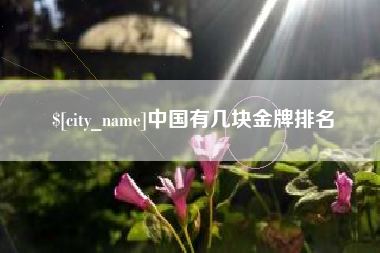 陆丰中国有几块金牌排名