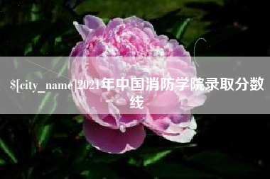 陆丰2021年中国消防学院录取分数线