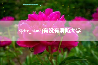 陆丰有没有消防大学