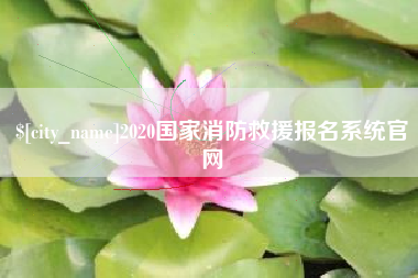 陆丰2020国家消防救援报名系统官网