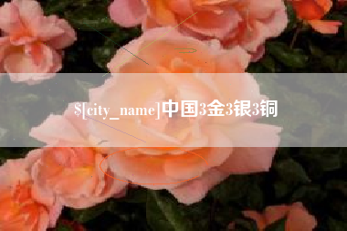 陆丰中国3金3银3铜