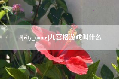 陆丰九宫格游戏叫什么