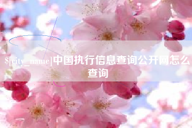陆丰中国执行信息查询公开网怎么查询