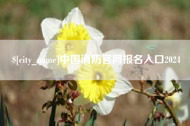 陆丰中国消防官网报名入口2024