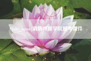 陆丰消防救援学院报考条件