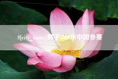 陆丰男子5000米中国参赛
