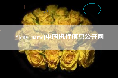 陆丰中国执行信息公开网