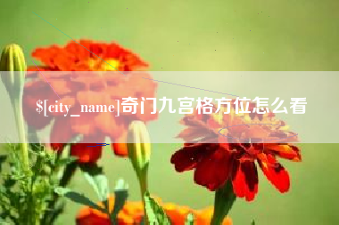 陆丰奇门九宫格方位怎么看