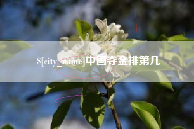 陆丰中国夺金排第几