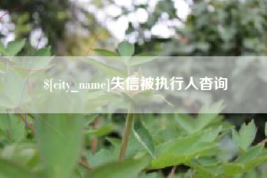 陆丰失信被执行人杳询