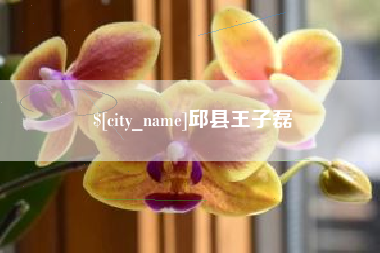 陆丰邱县王子磊