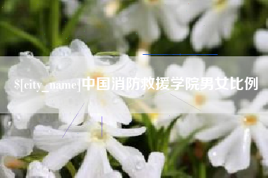 陆丰中国消防救援学院男女比例