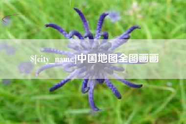 陆丰中国地图全图画画