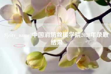 陆丰中国消防救援学院2020年录取结果