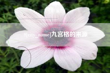 陆丰九宫格的来源