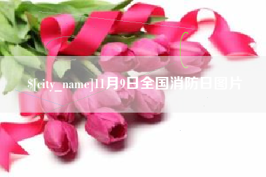 陆丰11月9日全国消防日图片