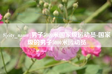 陆丰男子5000米国家级运动员-国家级的男子5000米运动员